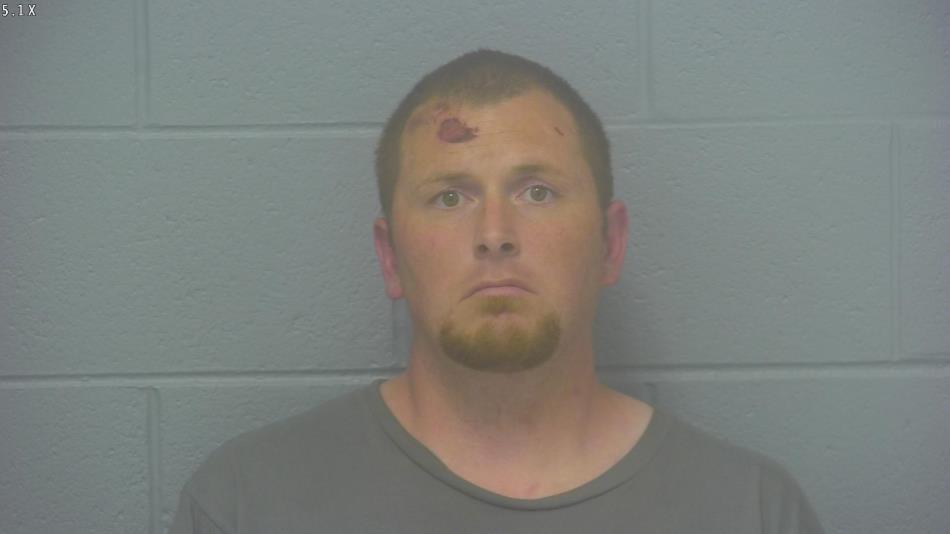 Arrest photo of ALDEN  WHITE 